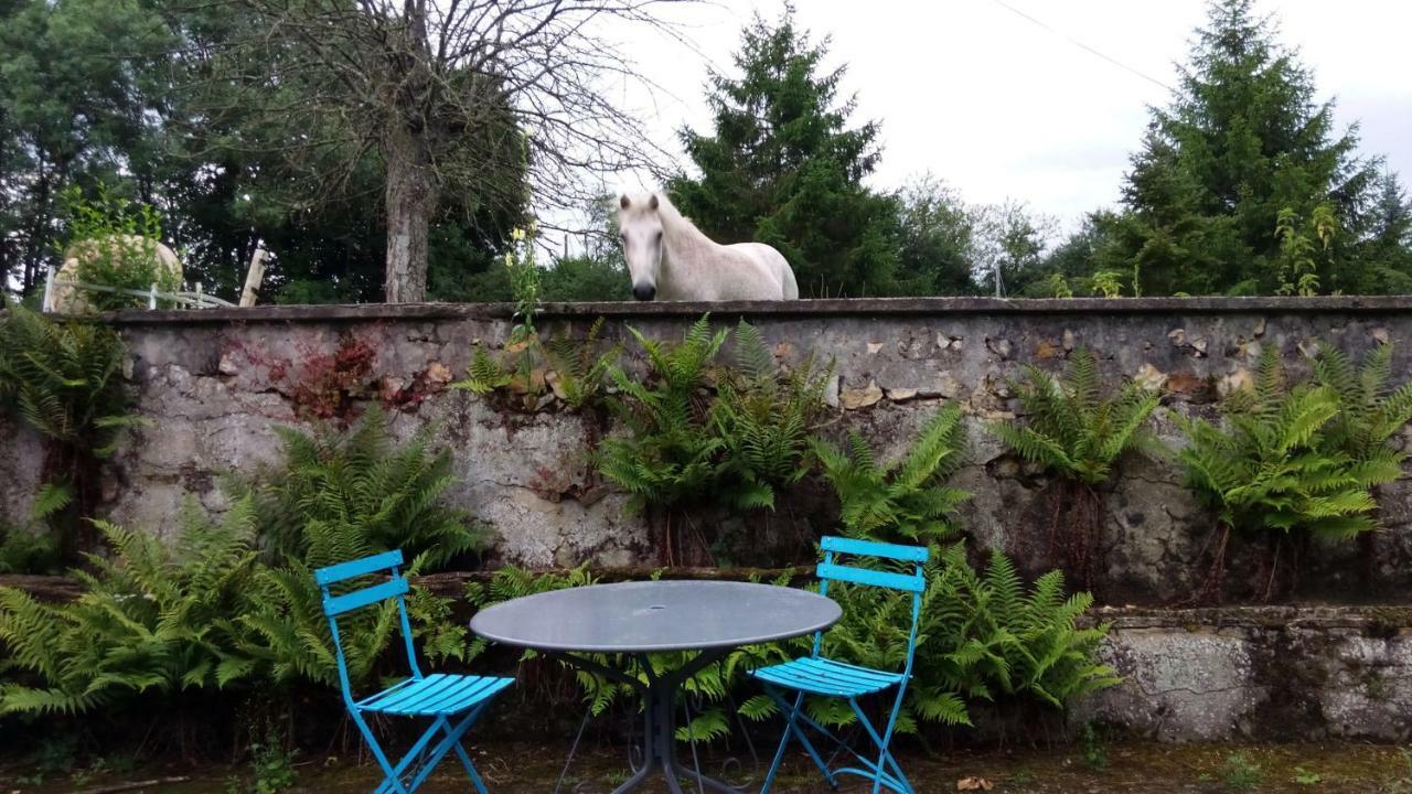 Les Anniquins Vila Ivoy-le-Pré Exterior foto