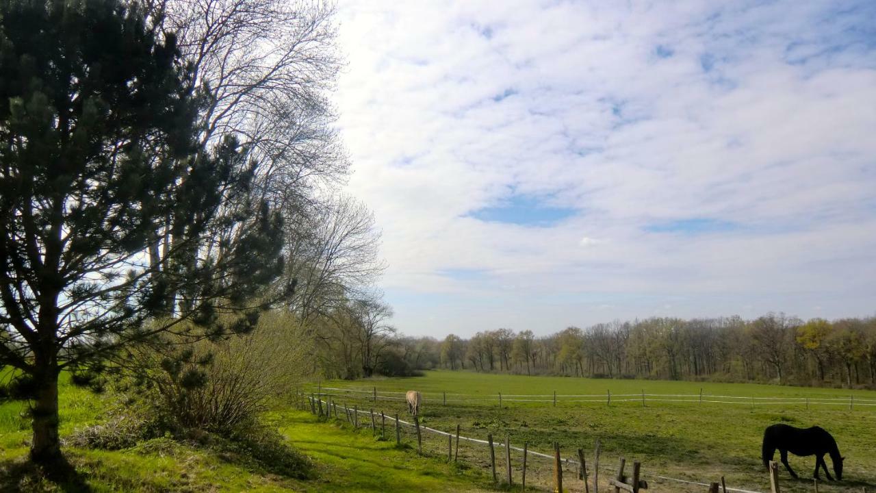 Les Anniquins Vila Ivoy-le-Pré Exterior foto
